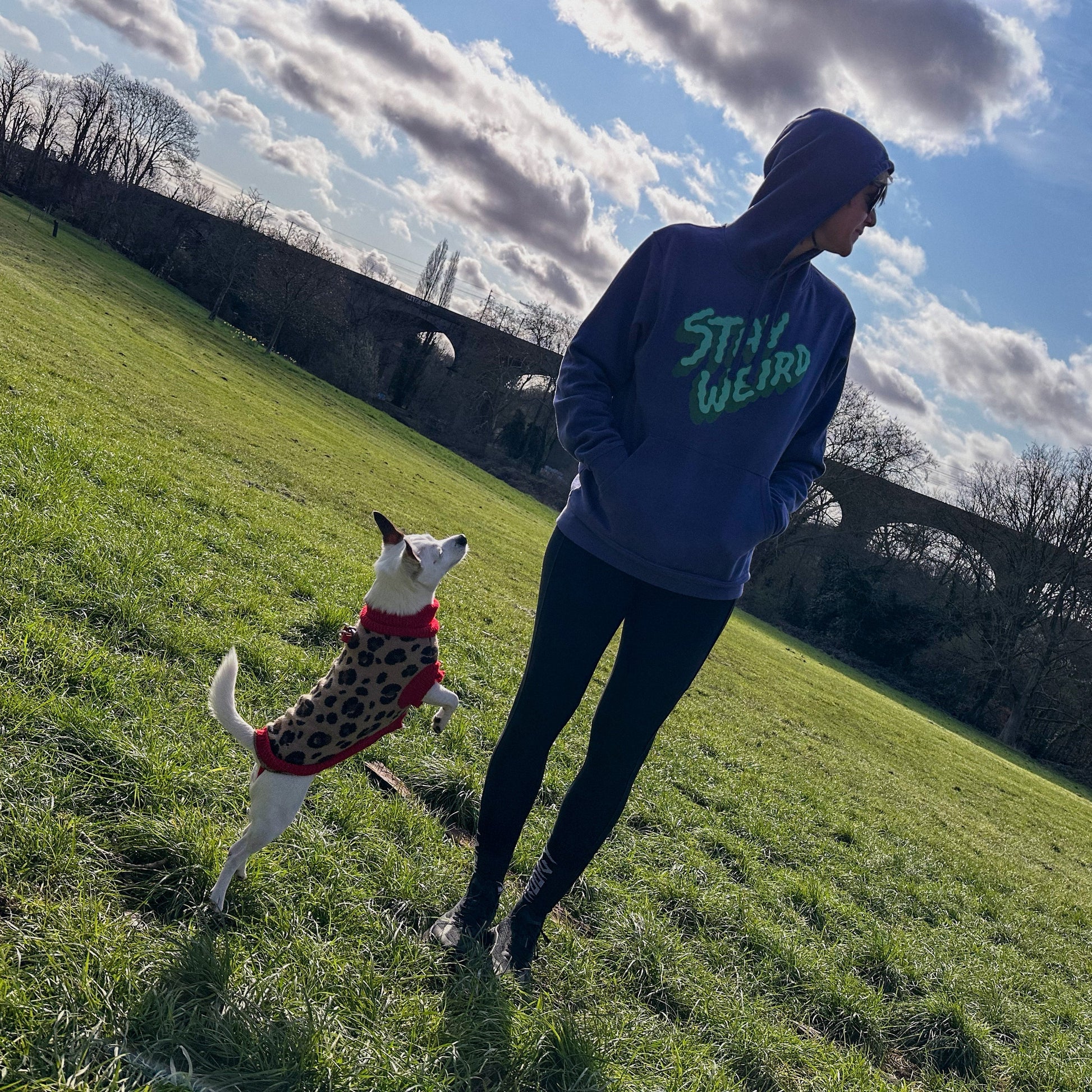 Person and dog in a park with a blue sky and clouds
